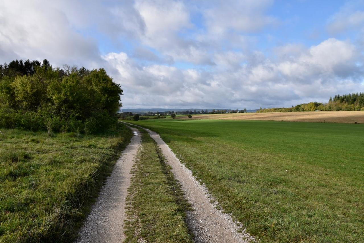 Ferienwohnung Eifelmittendrin Waxweiler Buitenkant foto